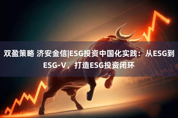 双盈策略 济安金信|ESG投资中国化实践：从ESG到ESG-V，打造ESG投资闭环