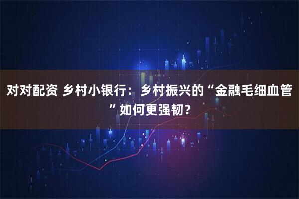 对对配资 乡村小银行：乡村振兴的“金融毛细血管”如何更强韧？