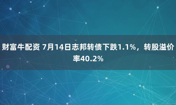 财富牛配资 7月14日志邦转债下跌1.1%，转股溢价率40.2%